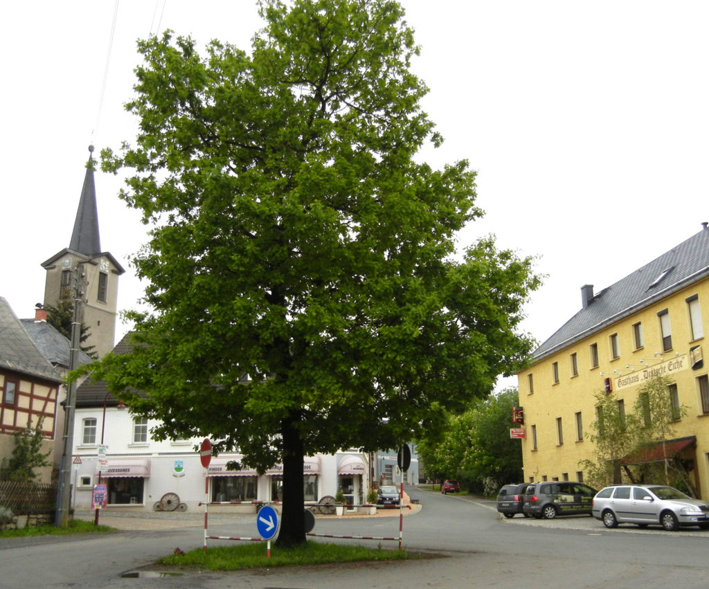 Gemeinde Oettersdorf